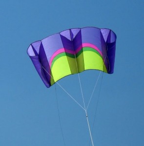 Double para sled