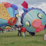 Frejus uçurtma festivali Frejus uçurtma festivali